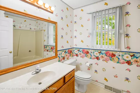Bath - 746 Tanbark Dr, Dimondale, MI 48821 photo 3 of 6