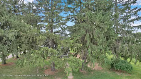 214 E Main St, Westphalia, MI 48894 photo 51