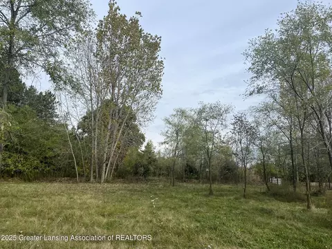 lot19 Amy Ln, Mulliken, MI 48861