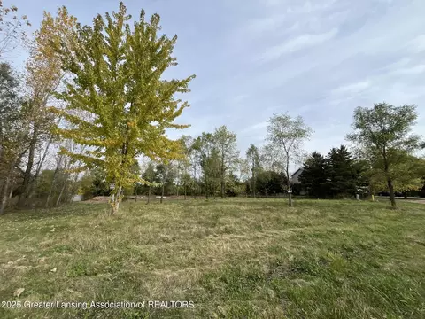 lot18 Amy Ln, Mulliken, MI 48861