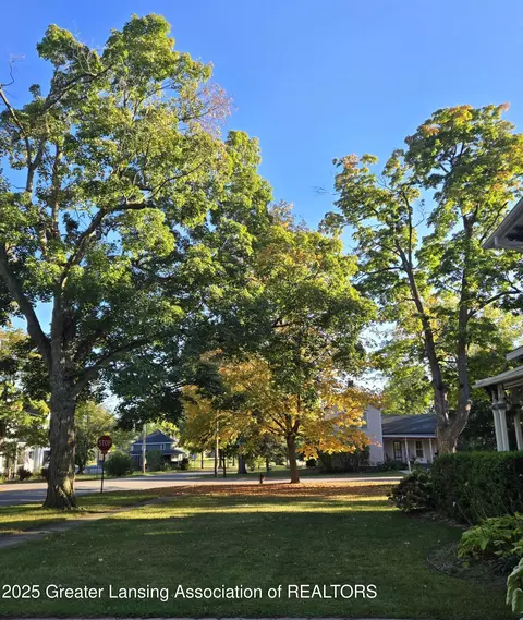 247 E 1st St, Ovid, MI 48866 photo 43