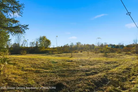 0 E Vermontville, Dimondale, MI 48821