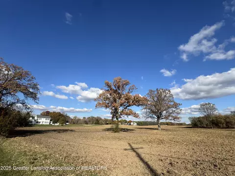 0 Vanneter Rd, Williamston, MI 48895 photo 6