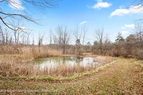 Other - 1155 W Maple Rapids Rd, Saint Johns, MI 48879 photo 31 of 33