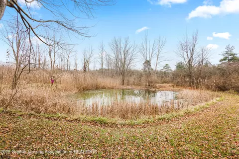 Other - 1155 W Maple Rapids Rd, Saint Johns, MI 48879 photo 30 of 33