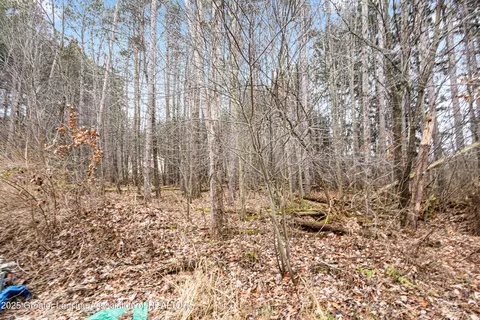 Other - 1155 W Maple Rapids Rd, Saint Johns, MI 48879 photo 32 of 33