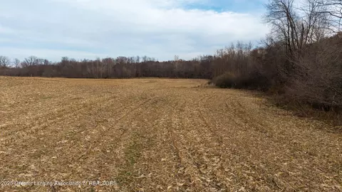 Vl Windsor Highway, Dimondale, MI 48821 photo 19