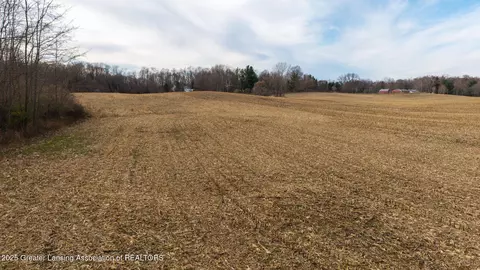 Vl Windsor Highway, Dimondale, MI 48821 photo 20
