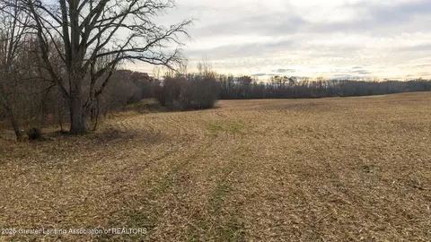 Vl Windsor Highway, Dimondale, MI 48821 photo 25