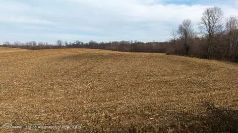 Vl Windsor Highway, Dimondale, MI 48821 photo 18