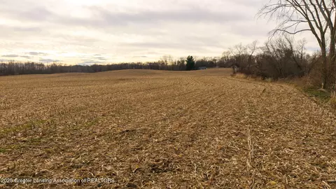 Vl Windsor Highway, Dimondale, MI 48821 photo 27