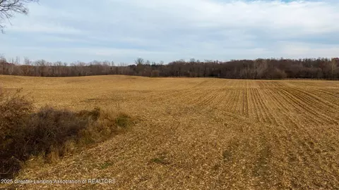 Vl Windsor Highway, Dimondale, MI 48821 photo 16