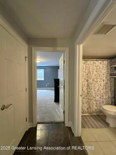 Entry Way - 5372 Mirage Cir, Dimondale, MI 48821 photo 8 of 9