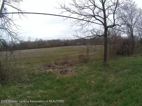 Vl Olds Road, Leslie, MI 49251