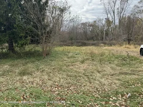 1463 N Onondaga Rd, Holt, MI 48842