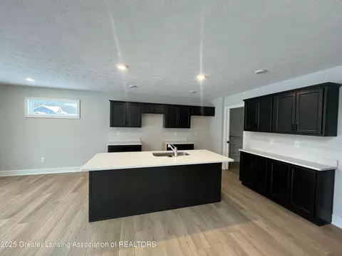 8165 W Herbison Rd, Eagle, MI 48822 photo 3