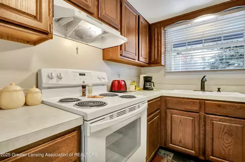 545 Red Cedar Blvd, Williamston, MI 48895 photo 18