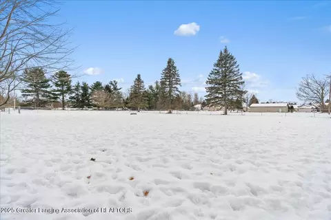 290 Nutmeg Dr, Dimondale, MI 48821 photo 29
