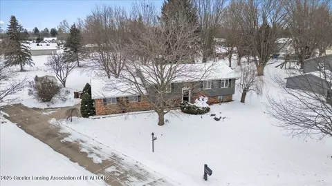 290 Nutmeg Dr, Dimondale, MI 48821 photo 2
