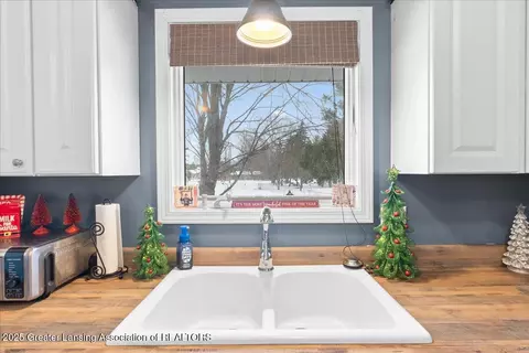 290 Nutmeg Dr, Dimondale, MI 48821 photo 12