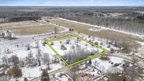 V/l Pine Street, Elm Hall, MI 48830