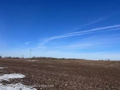 V/l S St Clair Road, Saint Johns, MI 48879