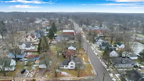 View/Area - 314 W Washington St, Dewitt, MI 48820 photo 4 of 7