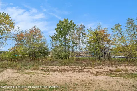 2984 Moccasin Dr, Dewitt, MI 48820 photo 24