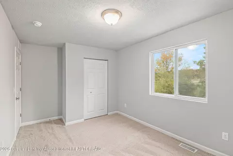 2984 Moccasin Dr, Dewitt, MI 48820 photo 14