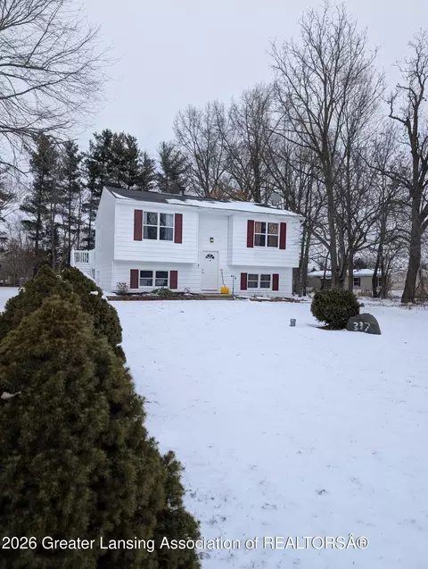 Other - 337 E Second St, Morrice, MI 48857 photo 2 of 11