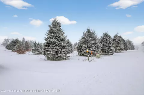 0 E Bellevue Rd, Olivet, MI 49076