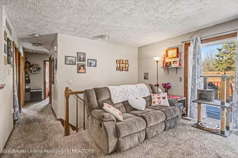 1114 N Chimney Hill Dr, Dewitt, MI 48820 photo 4
