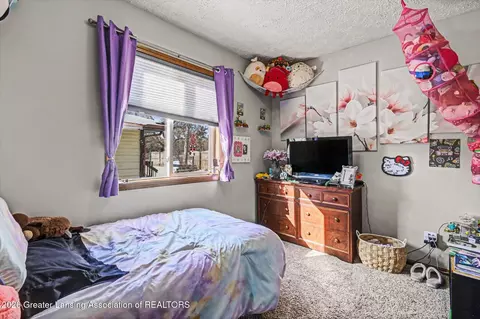 1114 N Chimney Hill Dr, Dewitt, MI 48820 photo 18
