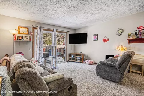 1114 N Chimney Hill Dr, Dewitt, MI 48820 photo 3
