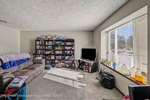 1114 N Chimney Hill Dr, Dewitt, MI 48820 photo 11