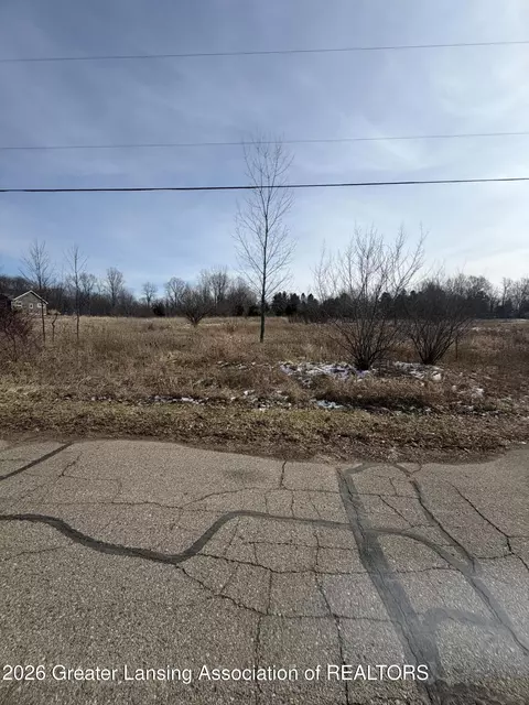 16831 Steiner Way, Lansing, MI 48906