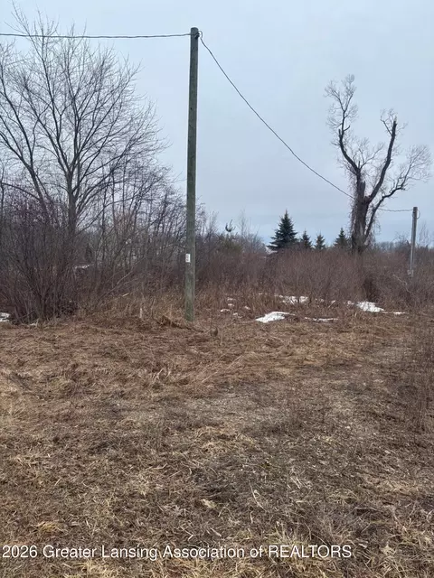 20003 Bullhead Lake Dr, Evart, MI 49631