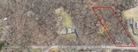 Parcel C Bailey Road, Dimondale, MI 48821 photo 3