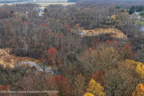0 Meridian Rd, Williamston, MI 48895 photo 11