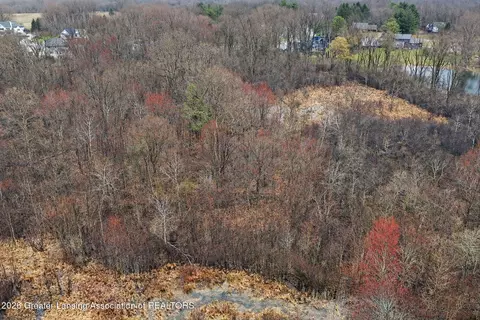 0 Meridian Rd, Williamston, MI 48895 photo 5