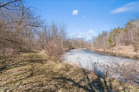 View/Area - 8348 E Maple Rapids Rd, Elsie, MI 48831 photo 1 of 9
