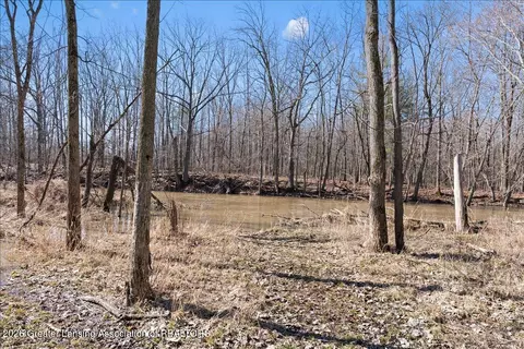 Other - 8348 E Maple Rapids Rd, Elsie, MI 48831 photo 15 of 17