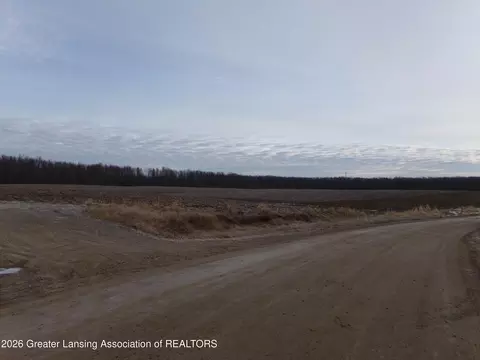 00 S S Us-27, Dewitt, MI 48820 photo 6
