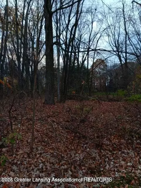 0 Beechwood Dr, Williamston, MI 48895