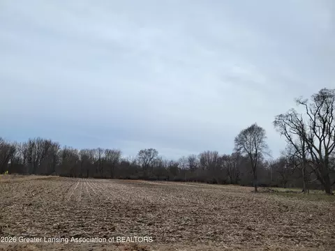 00 E M-21, Ovid, MI 48866 photo 3