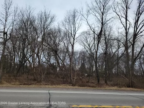 0000 E M21, Ovid, MI 48866 photo 4