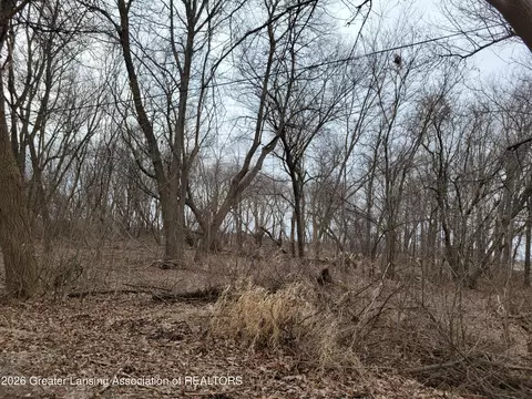 0000 E M21, Ovid, MI 48866 photo 2