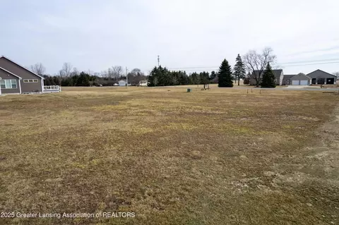 lot8 N Wright Rd, Fowler, MI 48835 photo 7