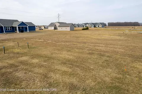 lot8 N Wright Rd, Fowler, MI 48835 photo 6