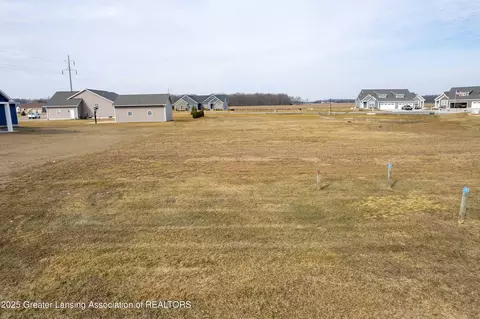lot8 N Wright Rd, Fowler, MI 48835 photo 5